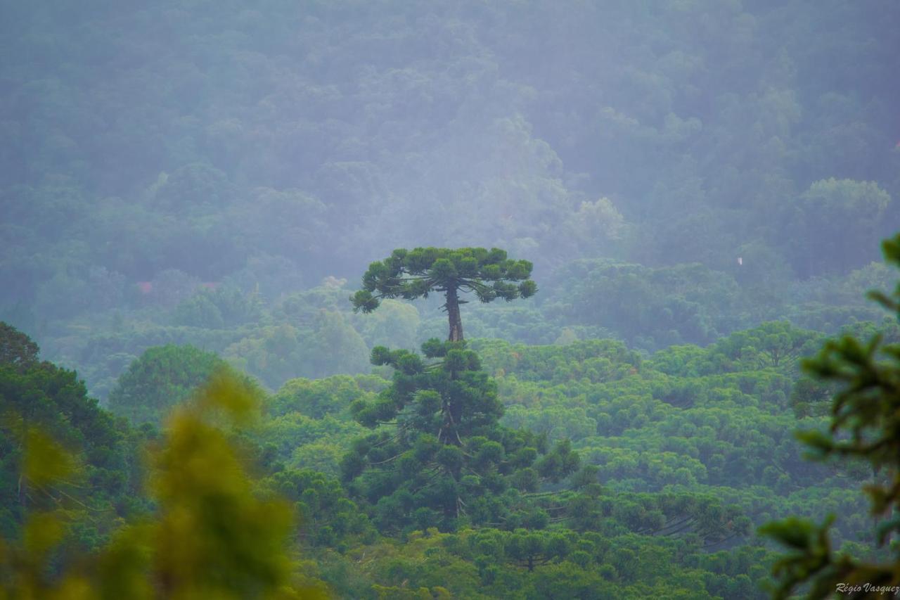 Hotel Pousada Ricanto Amore Mio Monte Verde  Exteriér fotografie